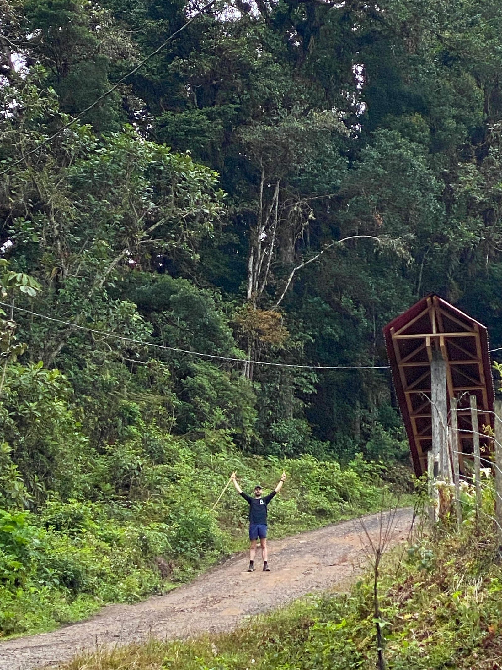 Hiker celebrating with arms raised on a forest road along the trail